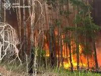 На Харьковщине масштабный лесной пожар, остановить его почти невозможно из-за заминирования
