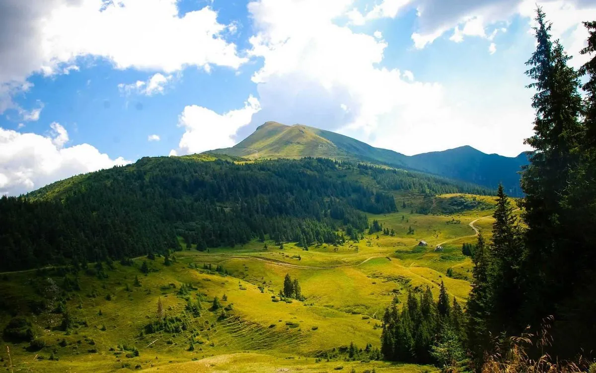 v-gorakh-vblizi-granitsi-zashli-cheloveka-bez-priznakov-zhizni-chto-izvestno