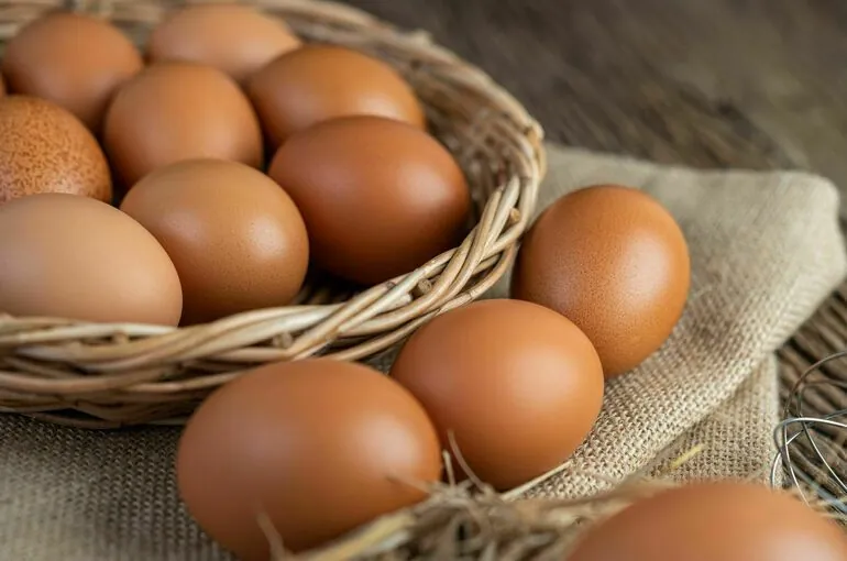 Canada opens egg products export market for Ukrainian producers