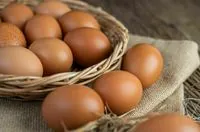 Канада открыла рынок экспорта яичных продуктов для украинских производителей