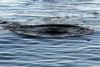 В Донецкой области подросток утонул в пруду