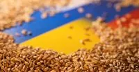 Even the war does not make corrupt officials and businessmen realize that now the country needs to be supported - economist on gray grain exports