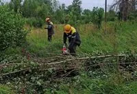 Emergency power outages in Kyiv region due to bad weather