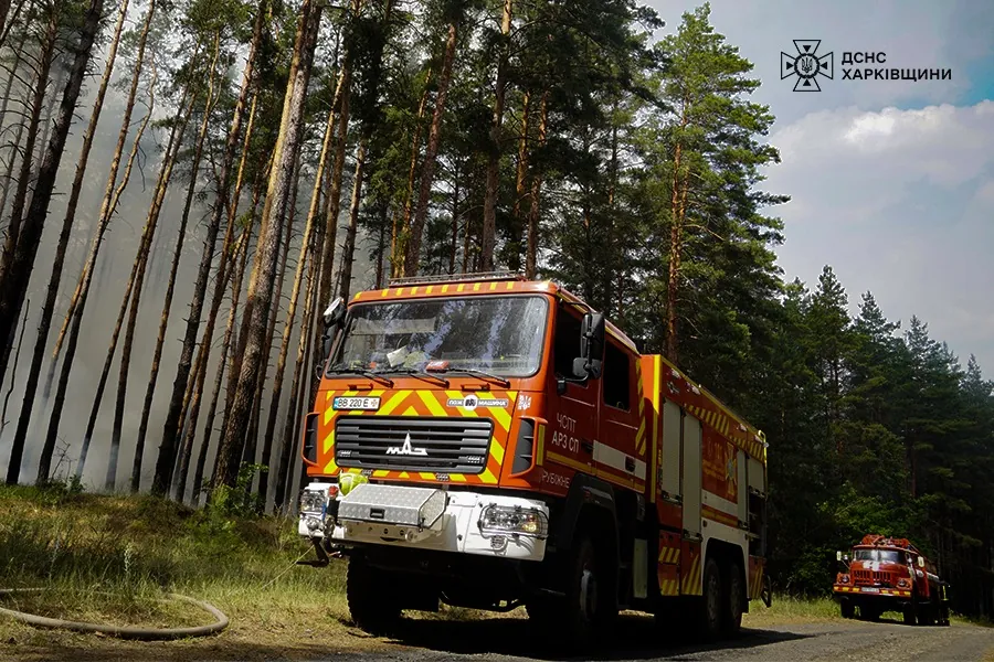 На Харківщині ліквідували масштабну лісову пожежу, яка тривала три доби 