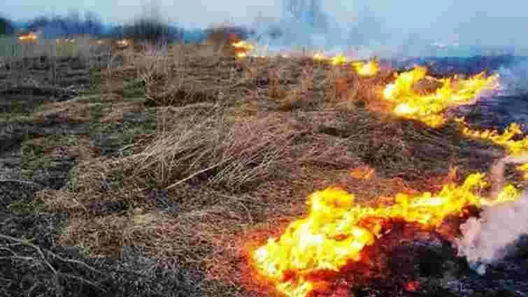 На Харьковщине, выжигая сухостой, женщина потеряла контроль над огнем и погибла