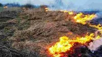 На Харьковщине, выжигая сухостой, женщина потеряла контроль над огнем и погибла