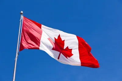 Канада объявила новые санкции против рф: в списке авиакомпания и ряд пропагандистских медиа