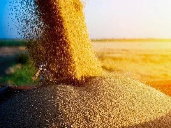 the-ukrainian-agrarian-confederation-told-about-common-schemes-of-gray-export-of-grain