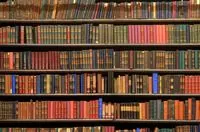 В Украине вводят книжные сертификаты и субсидии для книжных магазинов: Зеленский подписал закон