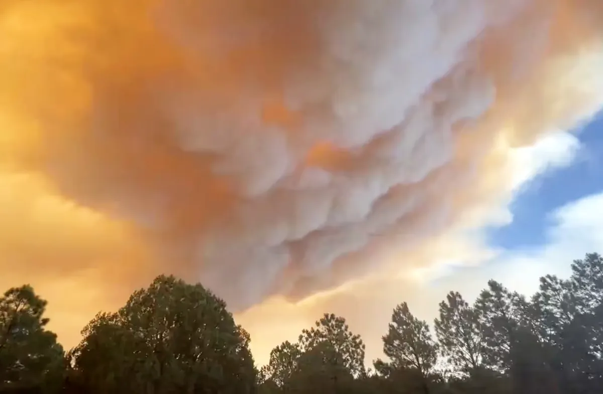 В Нью-Мексико объявили экстренную эвакуацию из поселка из-за быстрого распространения лесного пожара