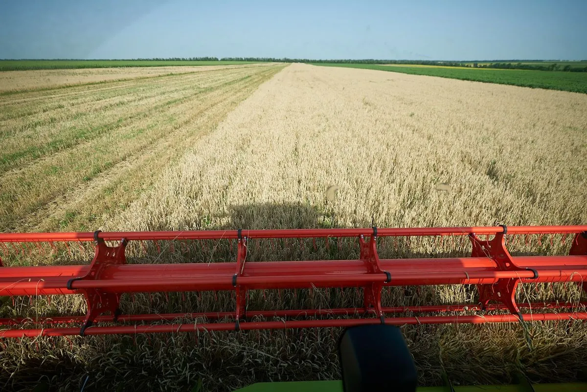Урожай пшениці на сьогодні прогнозується на рівні близько 21 млн тонн - Мінагрополітики