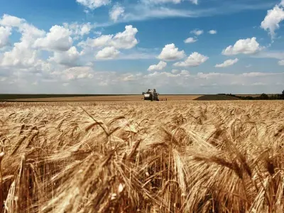 No threats to food security for Ukraine - Ministry of Economy