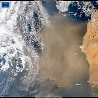 Dust from the Sahara is not expected over Ukraine - forecasters