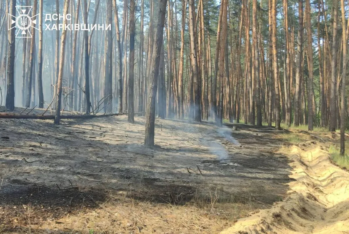 На Харьковщине из-за российского обстрела произошел лесной пожар