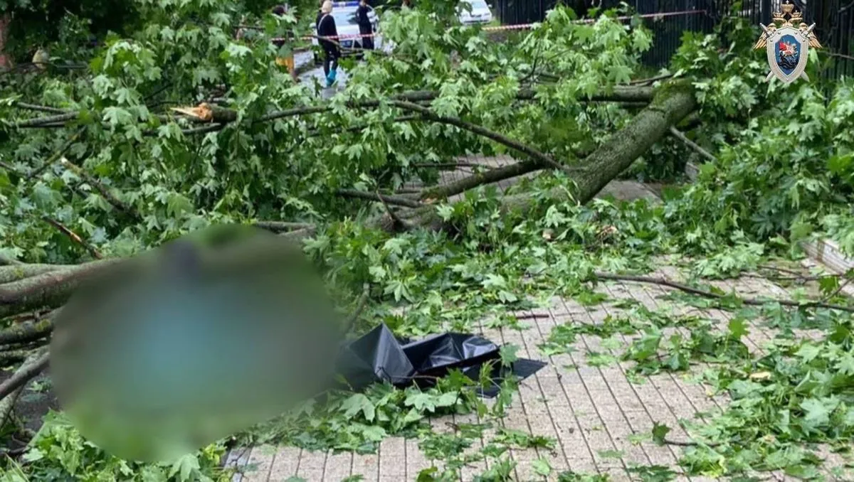 Hurricane Edgar swept through Moscow: two people were killed, about 30 more were injured