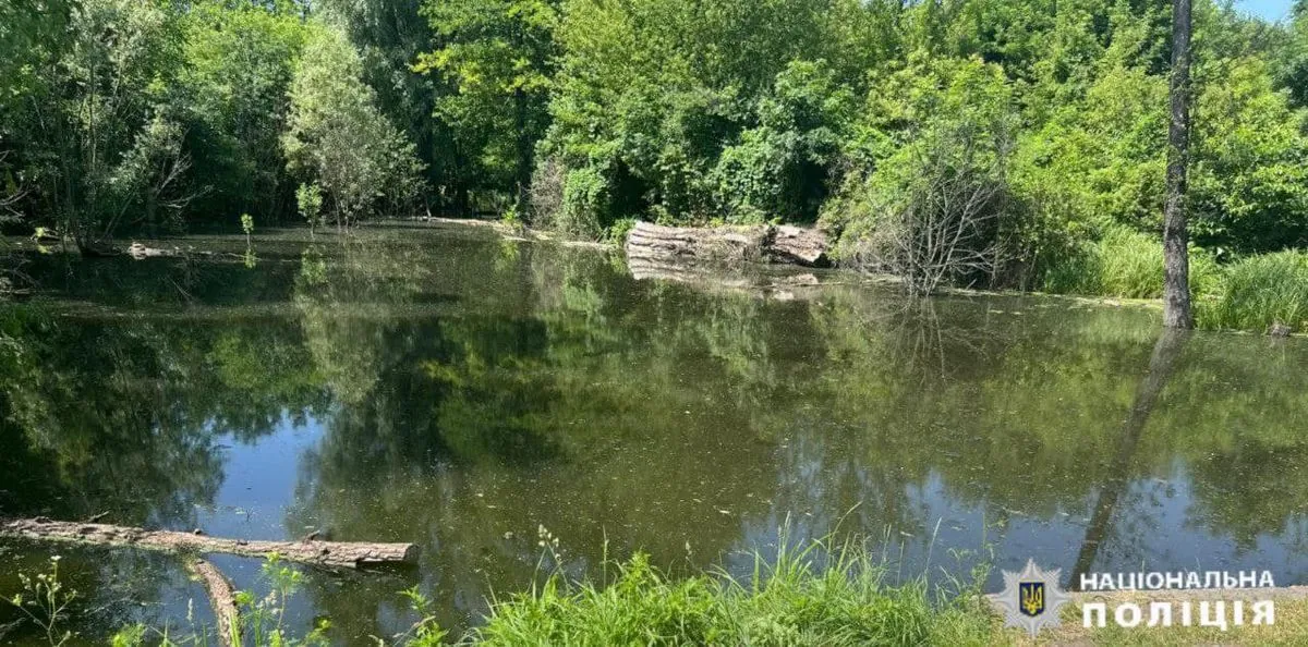 A two-year-old boy drowned in a pond in the Kiev region