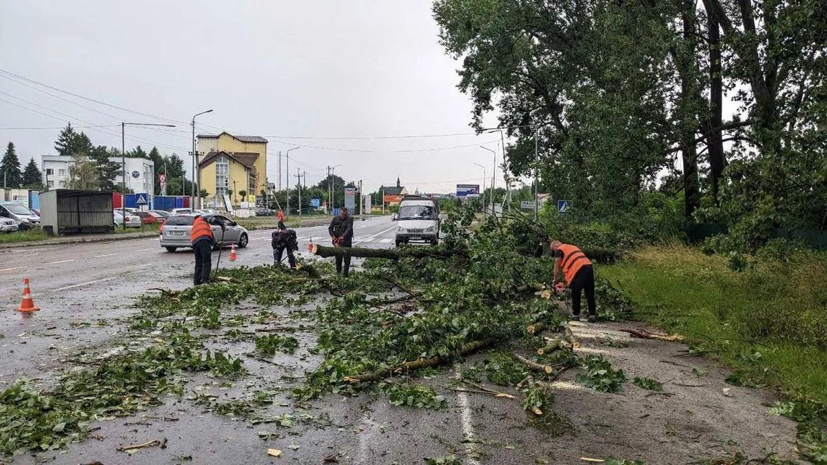 Повалено близько 100 дерев, пошкоджено до 10 дахів: Садовий про наслідки потужної грози у Львові
