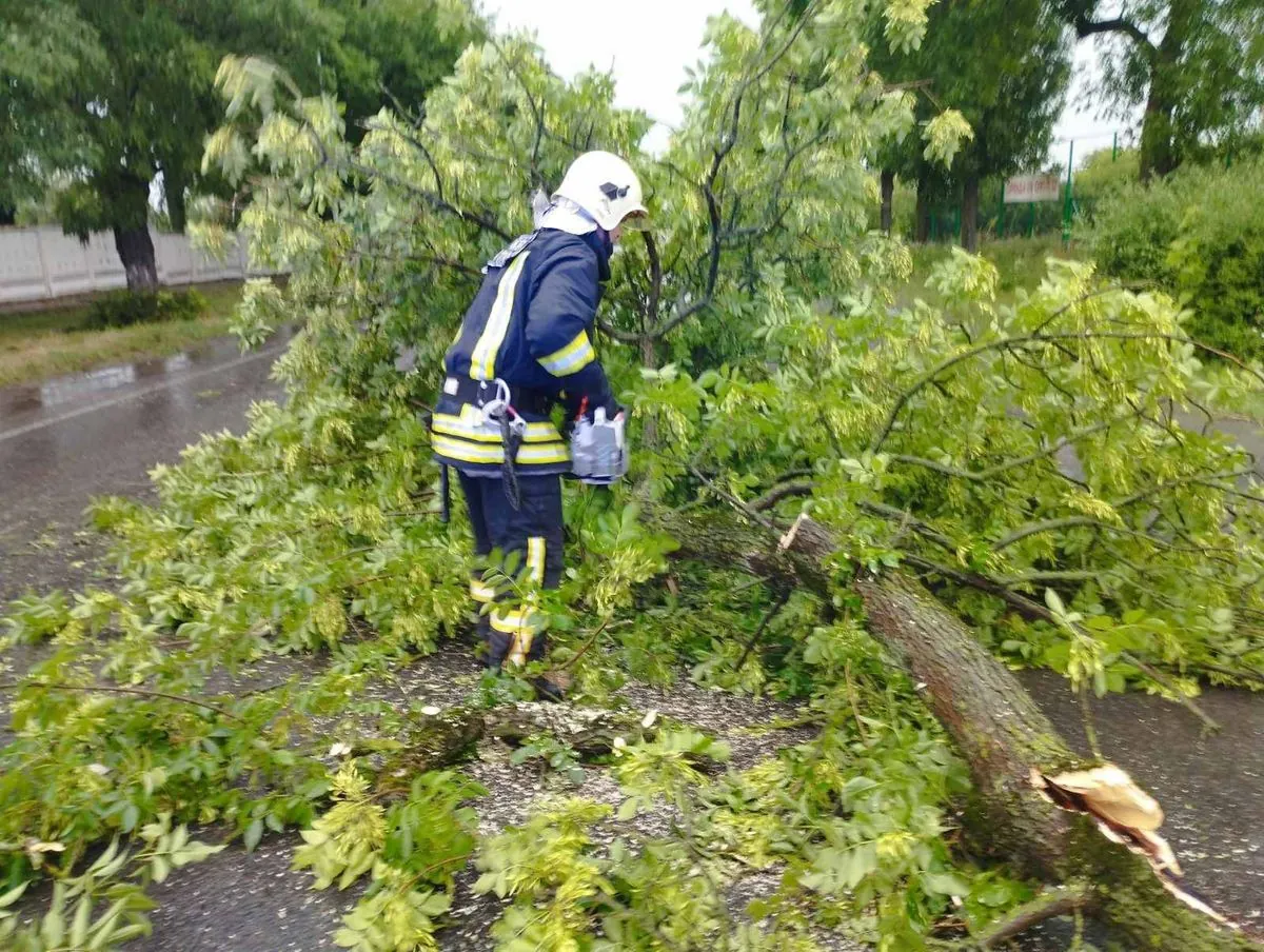 Негода на Волині: у Володимирі вітер повалив дерева, а у Луцьку блискавка вдарила у будинок