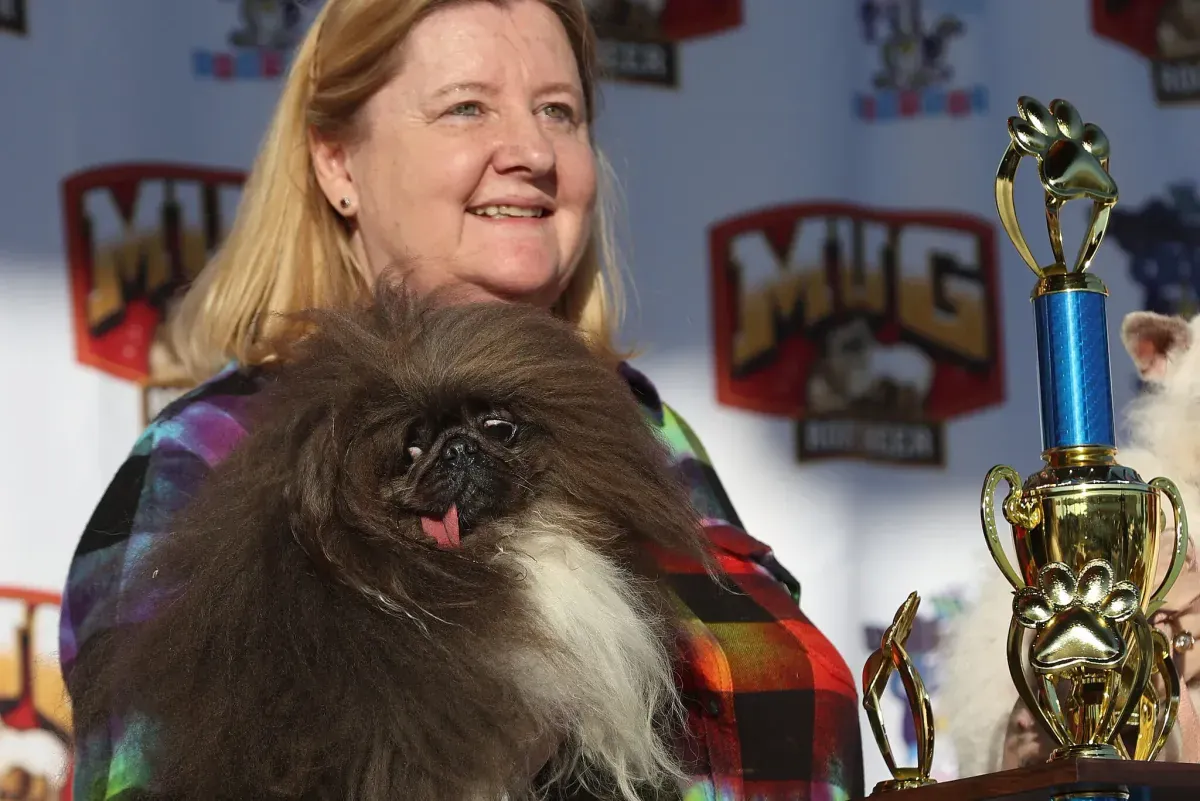 Pekingese from the United States on the fifth attempt received the title of the ugliest dog in the world