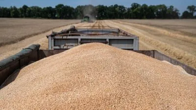 Украина в этом маркетинговом году экспортировала почти 50 млн тонн зерна, что на 3%, чем в прошлый период - Минагрополитики
