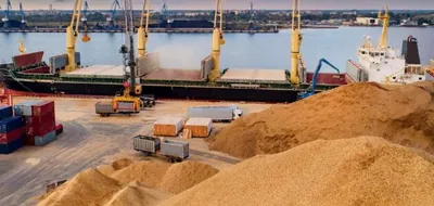 Grain exports increased due to intensified fight against grain exports "in gray" and the work of the grain corridor - expert