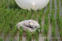 Северная Корея за ночь запустила почти 200 воздушных шаров с мусором