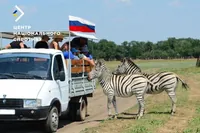 Russians imitate tourism in the occupied territories of Ukraine - National Resistance Center