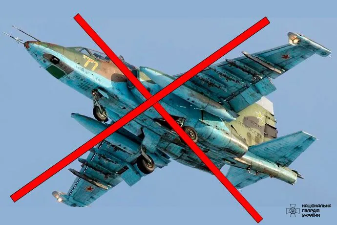 Російський штурмовик Су-25 збили з "Ігли" на Донеччині: нацгвардійці показали кадри