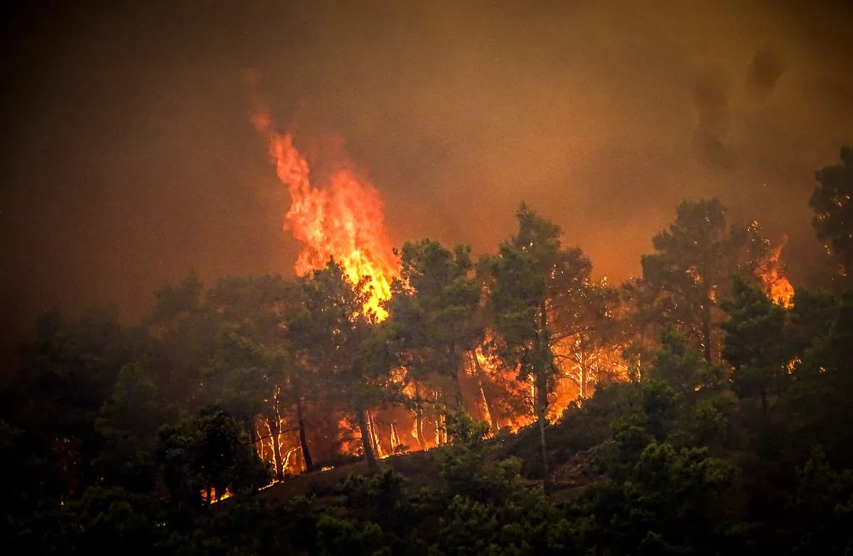 Firefighters fight a forest fire near Athens