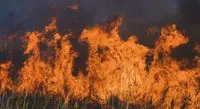An emergency level of fire danger has been declared in Ukraine
