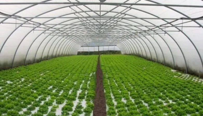 farmers-received-uah-220-million-of-support-for-gardens-and-greenhouses-this-year