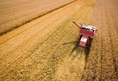 This year the gross grain harvest will be at the level of about 60 million tons - expert