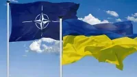 Reuters: члены НАТО согласовали финансовое обязательство для Украины на 40 млрд евро