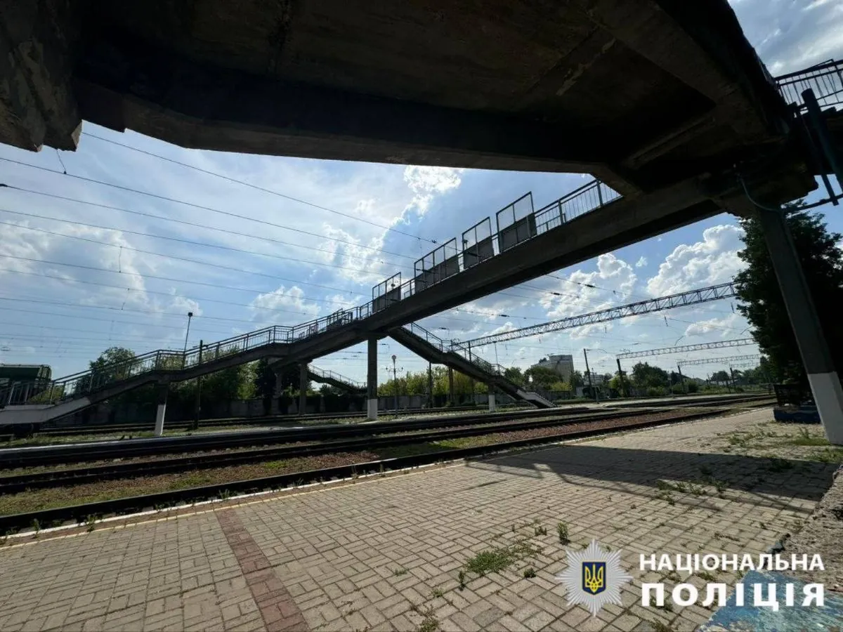 Woman throws dog off railroad bridge in Kyiv region: investigation launched