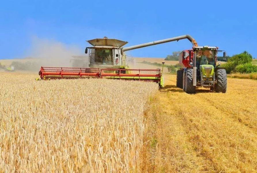 ukraine-harvested-37-million-tons-of-new-crop