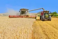 Україна зібрала 3,7 млн тонн нового врожаю