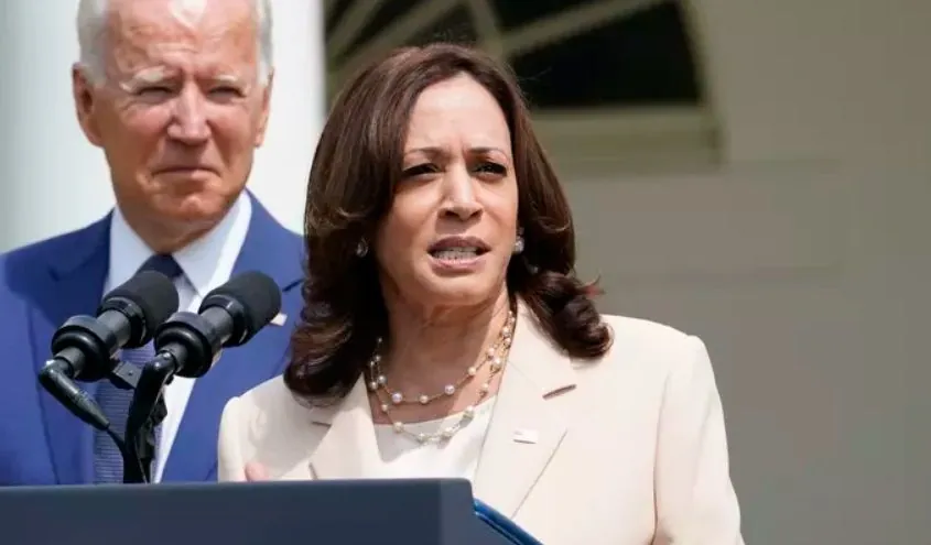 the-only-viable-replacement-for-biden-support-for-kamala-harris-in-the-us-democratic-party-is-growing-in-focus-for-the-upcoming-election