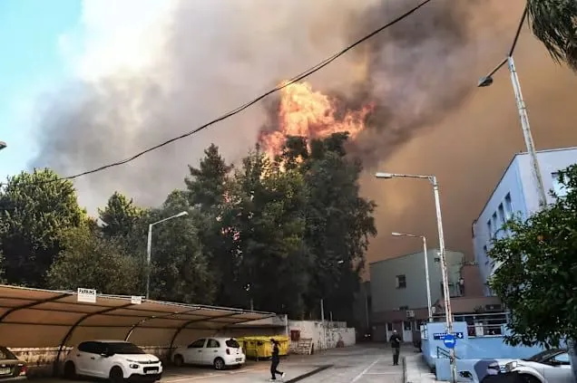 В Греции в результате чрезвычайной жары и сильного ветра возникли значительные лесные пожары