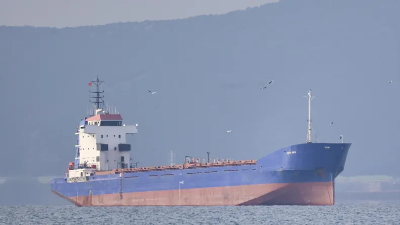 Україна затримала на Дунаї вантажне судно, яке раніше заходило в Севастополь - ЗМІ