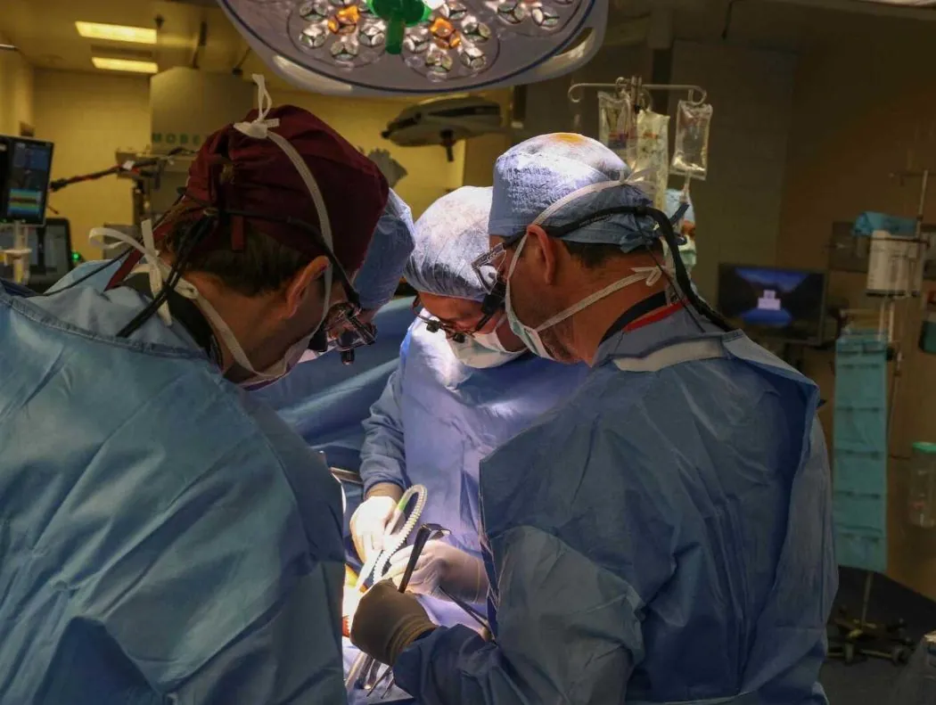 Жінка, якій пересадили нирку від свині, померла через три місяці - CBS News