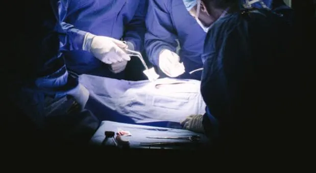 Трансплантація органів: здійснено 283 операції у першому півріччі 2024 року