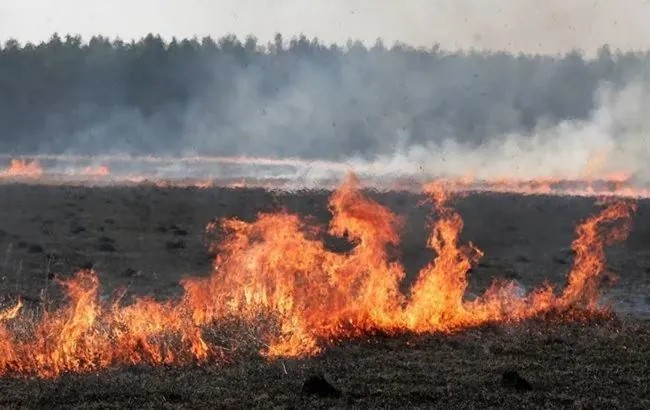 At least 75 hectares of wheat burned by russian terrorist troops in Kherson region in two weeks
