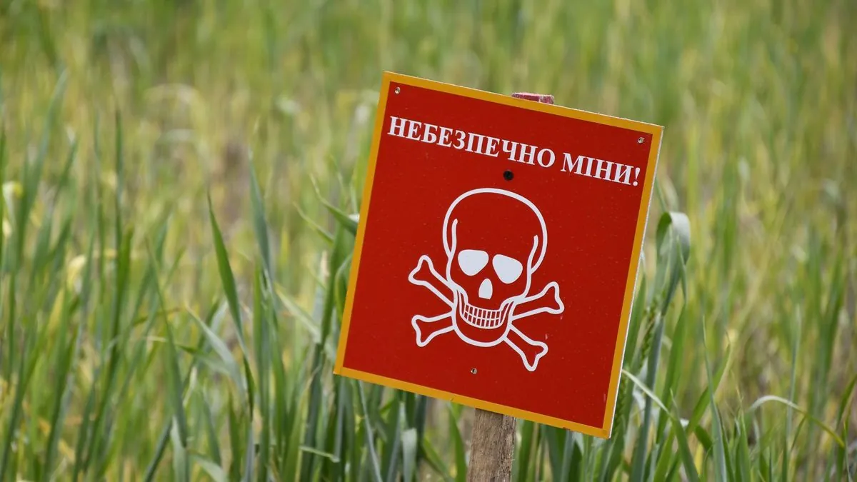 A man was injured due to the detonation of an unknown explosive object in a field in Mykolaiv region