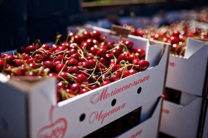 "Melitopol sweet cherry" is Ukrainian: Kyiv calls on WIPO General Assembly to respond to theft of geographical indication by Russia