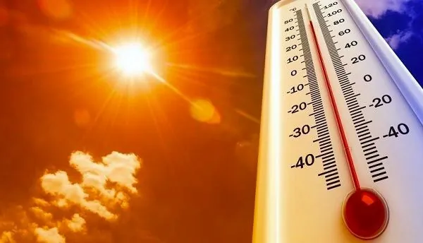 Три области Украины разрабатывают меры адаптации к жаре: что известно