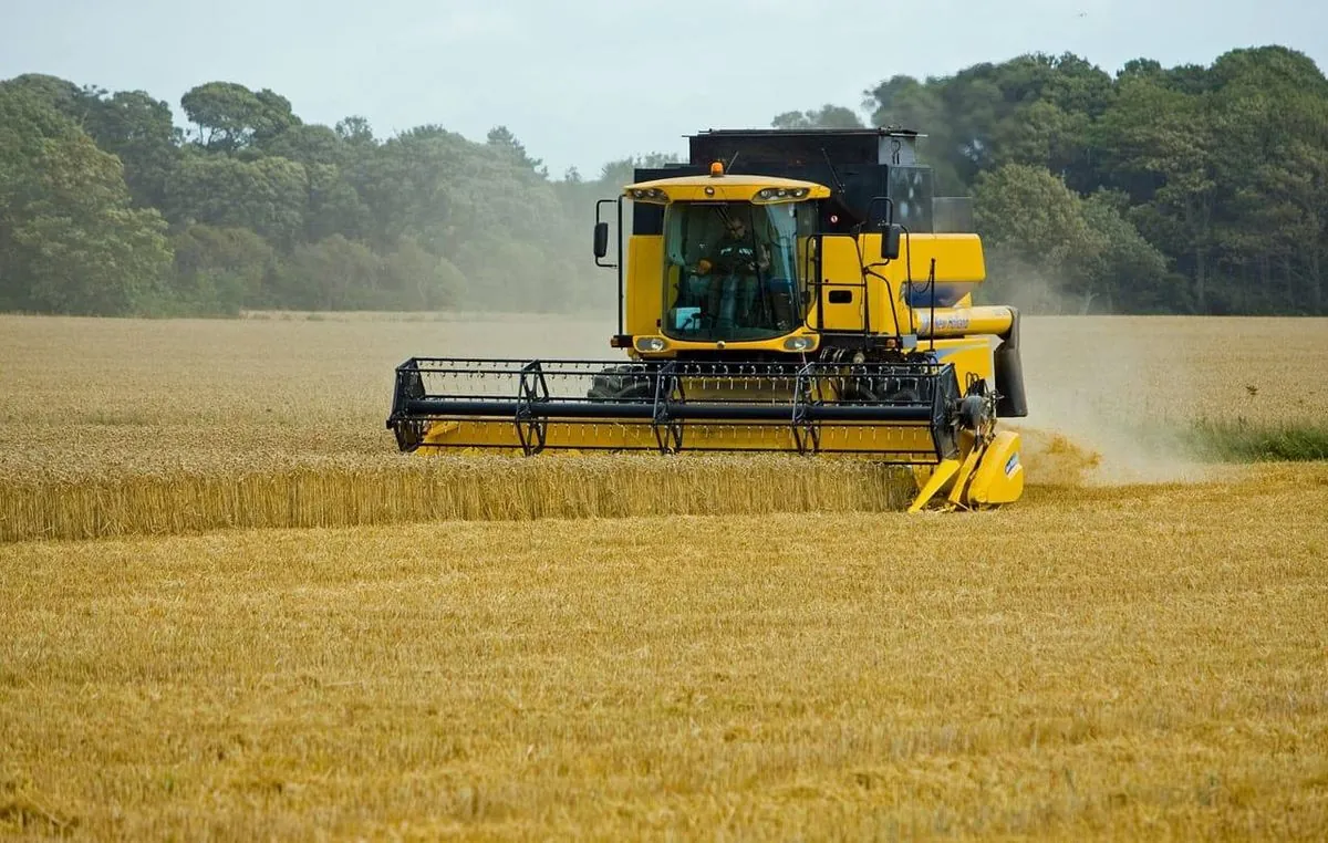 harvest-2024-odesa-region-exceeds-15-million-tons-of-grain