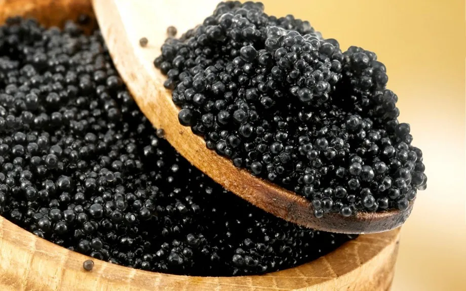 black-caviar-and-snail-boom-gastronomy-business-is-developing-rapidly-in-odesa-region