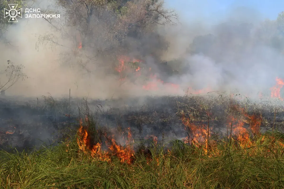 На тлі спеки по Україні за добу 331 природна пожежа, у тому числі горіло на Хортиці