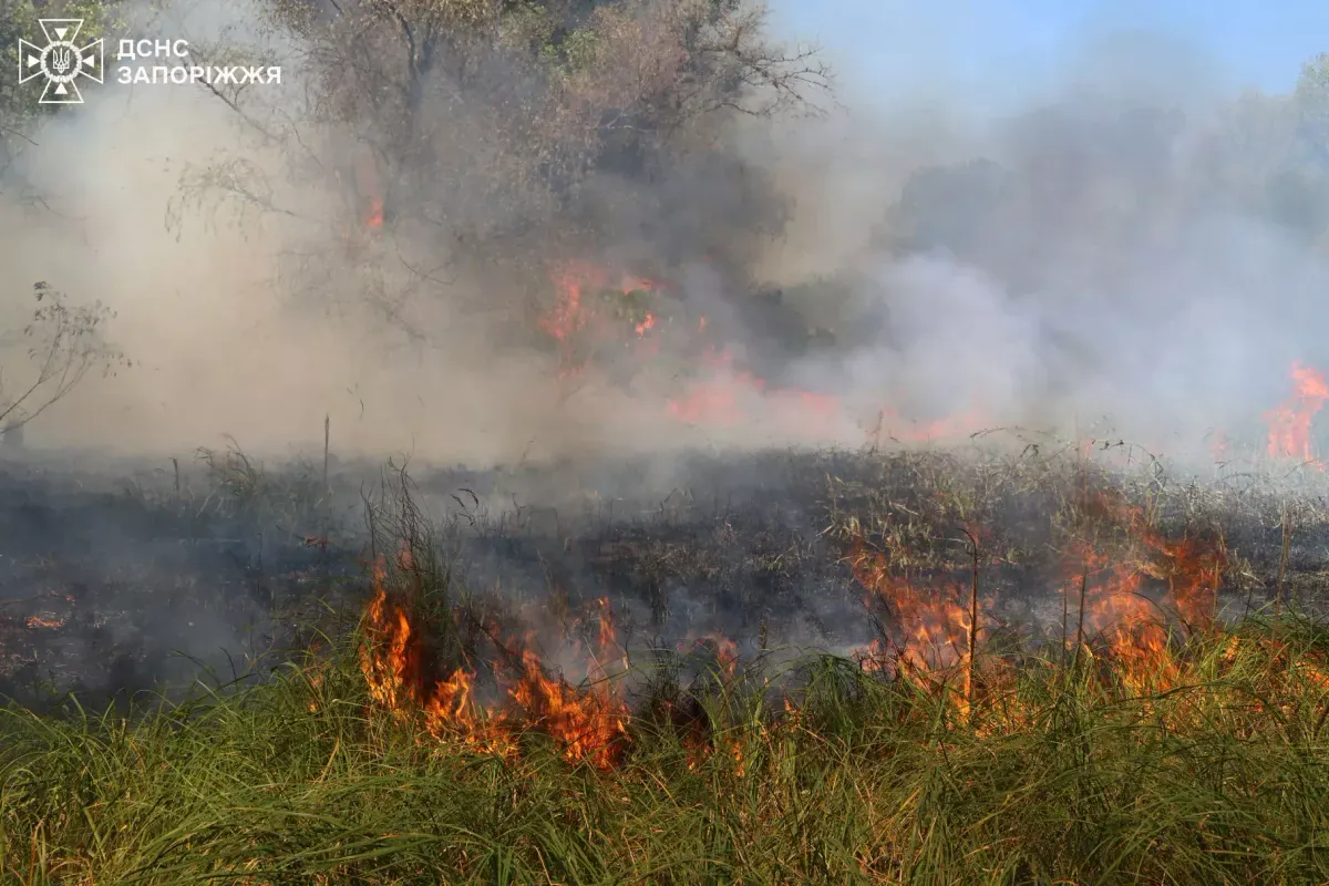 Amid the heat wave in Ukraine, 331 natural fires occurred overnight, including one in Khortytsia