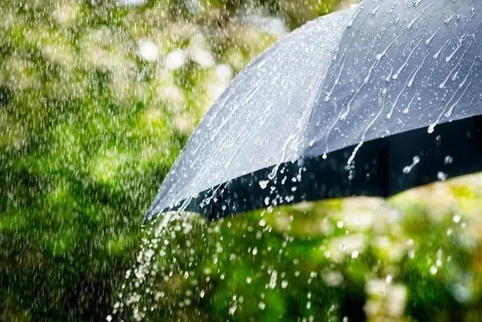 short-term-rain-with-thunderstorm-sometimes-with-hail-and-wind-gusts-up-to-20-ms-are-observed-in-kyiv-region